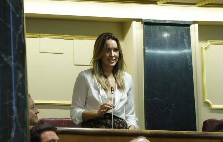 María Fernández en su toma de posición en el Congreso