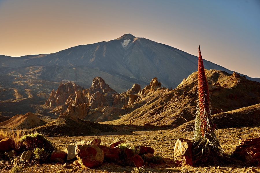 Parque Nacional del Teide | Foto: Cabildo de Tenerife Parque Nacional del Teide | Foto: Cabildo de Tenerife