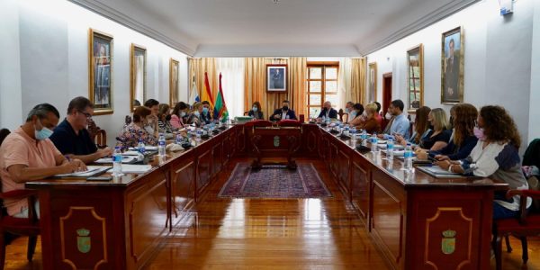 Pleno del Ayuntamiento de Arona