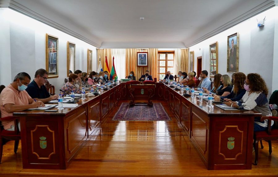 Pleno del Ayuntamiento de Arona