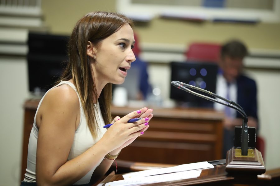 Nira Fierro durante una intervención parlamentaria Nira Fierro durante una intervención parlamentaria