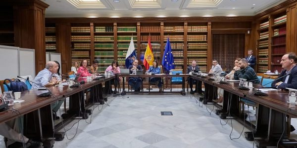 Reunión de la Comisión del Deporte en el Parlamento de Canarias