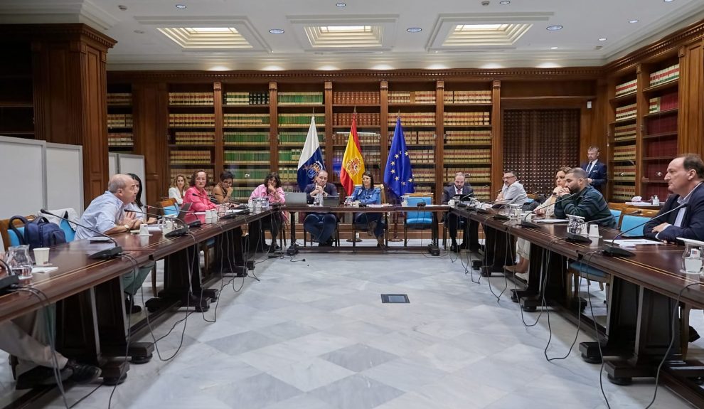 Reunión de la Comisión del Deporte en el Parlamento de Canarias