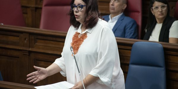 Manuela de Armas en una sesión del Parlamento de Canarias