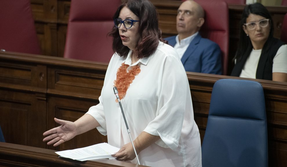 Manuela de Armas en una sesión del Parlamento de Canarias