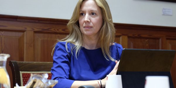 Rosa Dávila en una sesión del Parlamento de Canarias