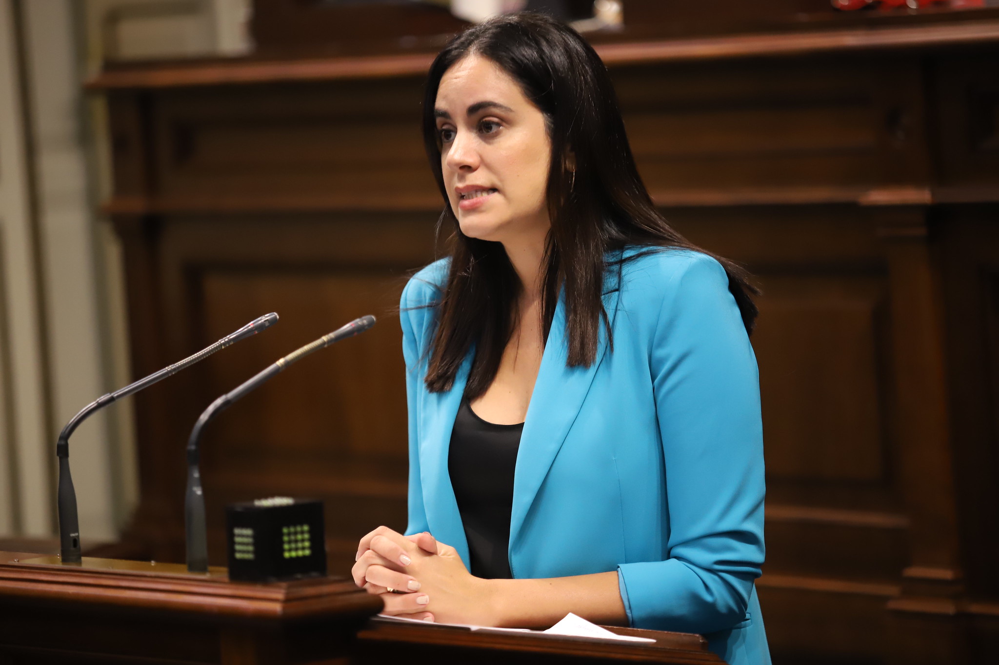 Vidina Espino en la sede del Parlamento de Canarias Vidina Espino en la sede del Parlamento de Canarias