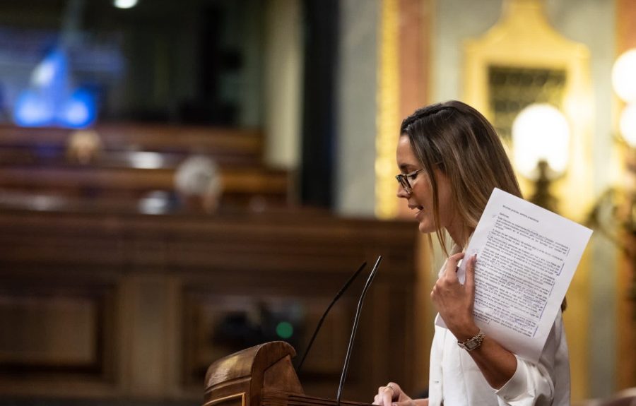 La diputada María fFernández en el Congreso