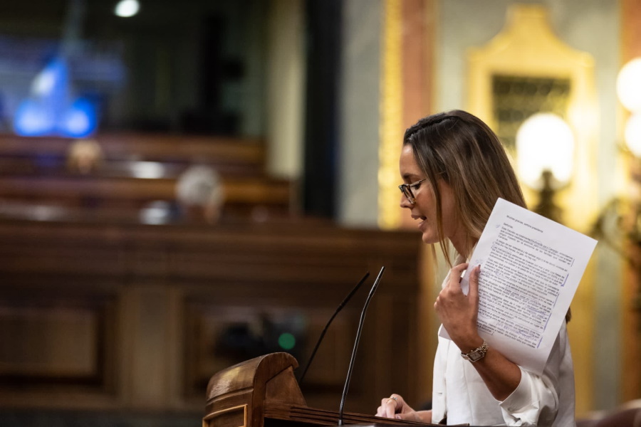 La diputada María fFernández en el Congreso La diputada María fFernández en el Congreso