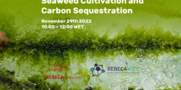 Cartel del webinar 'Seaweed cultivation and carbon sequestration'