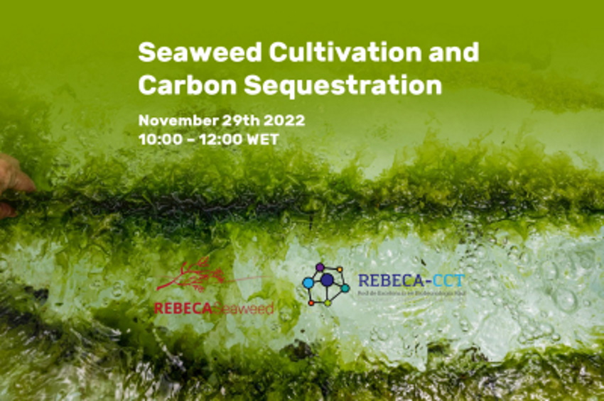 Cartel del webinar 'Seaweed cultivation and carbon sequestration'