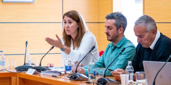 Lola García (izda.) durante un pleno del Cabildo de Fuerteventura