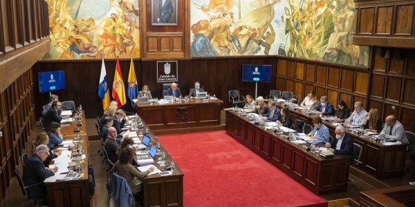 Pleno del Cabildo de Gran Canaria en el que se aprobó el PIO