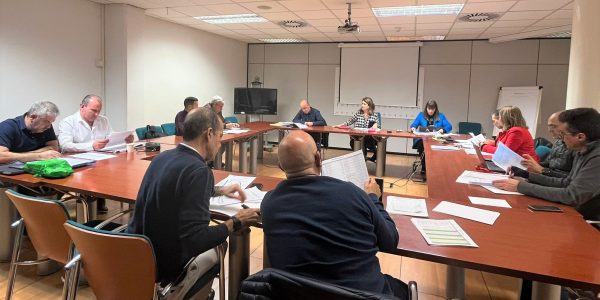 Mesa sectorial de Sanidad | Foto: Gobierno de Canarias