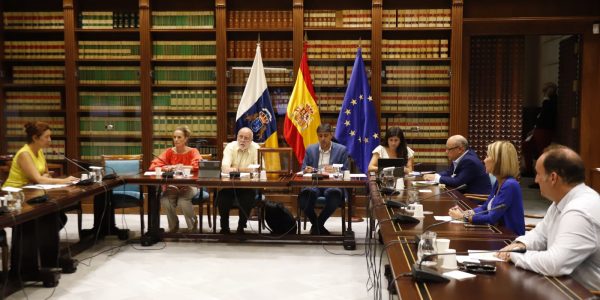 Comisión de estudio sobre el reto demográfico | Foto: Parlamento de Canarias