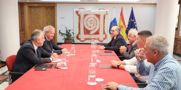 Empresarios del transporte en una reunión con el presidente del Gobierno canario, Ángel Víctor Torres |