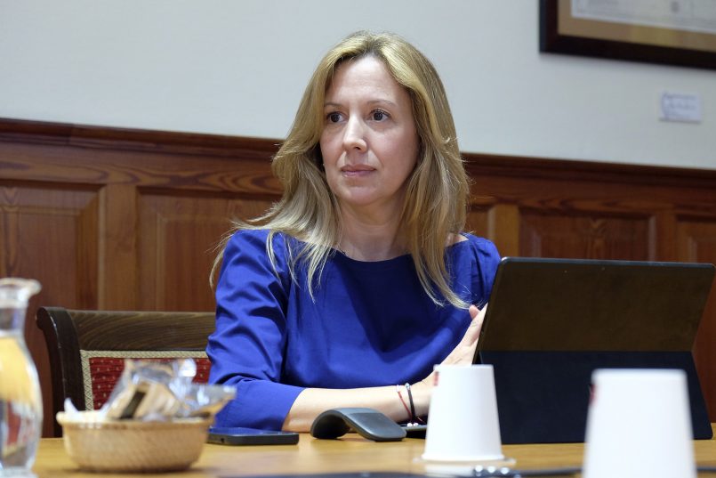Rosa Dávila en una sesión parlamentaria | Foto: Parlamento de Canarias Rosa Dávila en una sesión parlamentaria | Foto: Parlamento de Canarias
