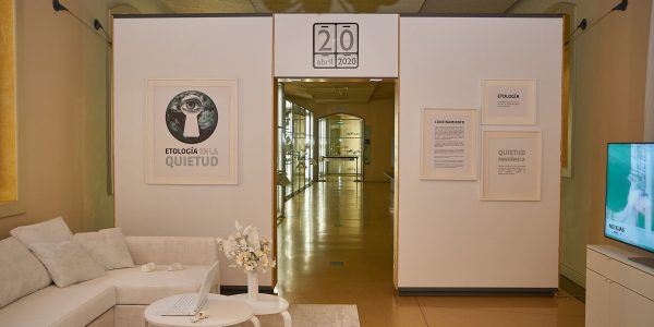 Exposición ‘Etología en la quietud’ en el MUNA | Foto: Cabildo de Tenerife