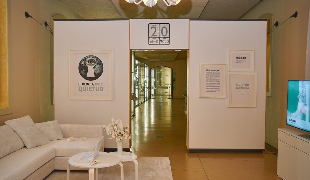 Exposición ‘Etología en la quietud’ en el MUNA | Foto: Cabildo de Tenerife