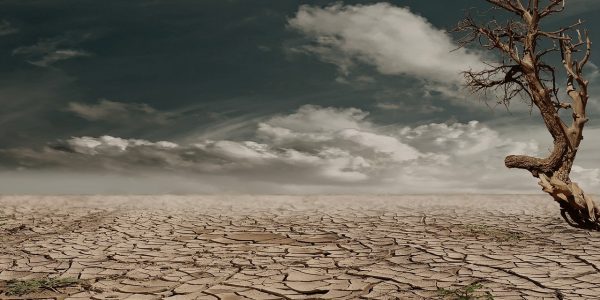 La sequía supondrá cambios importantes en las formas de vida |