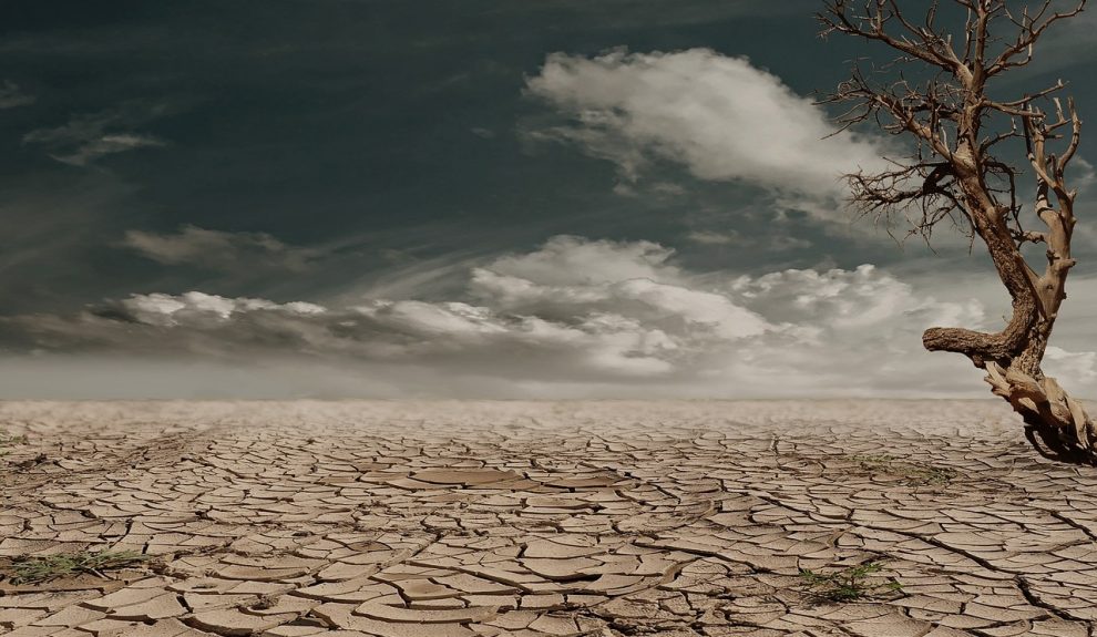La sequía supondrá cambios importantes en las formas de vida |