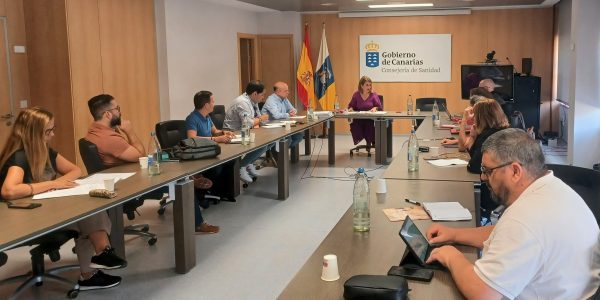 Reunión de la mesa sectorial de Sanidad | Foto: Gobierno de Canarias
