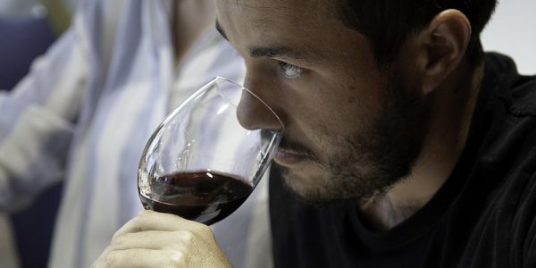 Cata de vino | Foto: ULL