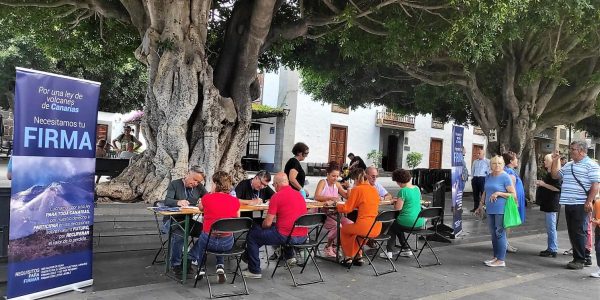 Recogida de firmas en Los Llanos de Aridane