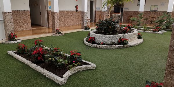 Sede de la de la asociación Gull Lasègue en Las Palmas de Gran Canaria