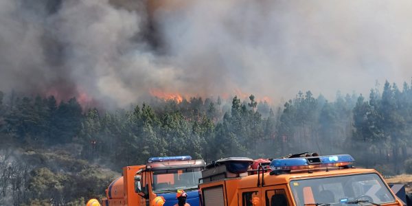 Imagen del incendio de Tejeda | Foto: Cabildo de Gran Canaria