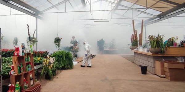 Trabajos de fumigación tras la detección de ejemplares de mosquito Aedes albopictu en un invernadero de Tenerife | Foto: Gobcan