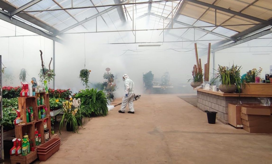 Trabajos de fumigación tras la detección de ejemplares de mosquito Aedes albopictu en un invernadero de Tenerife | Foto: Gobcan
