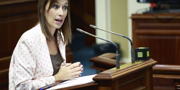 Nira Fierro en una sesión del Parlamento de Canarias