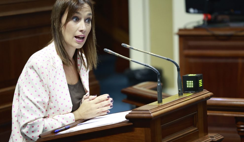 Nira Fierro en una sesión del Parlamento de Canarias