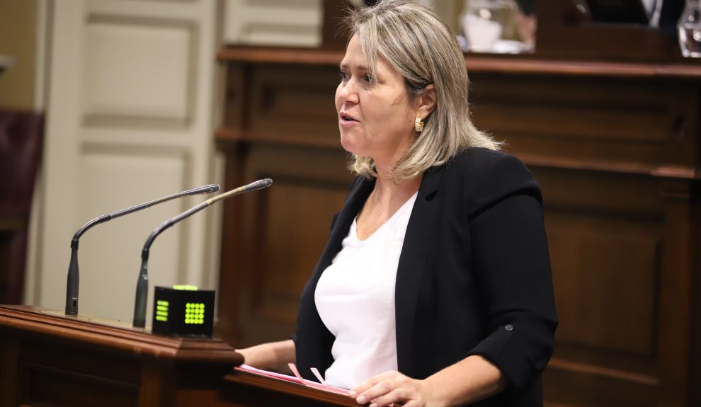 Alicia Vanoostende en una sesión del Parlamento de Canarias | Foto: Parcan