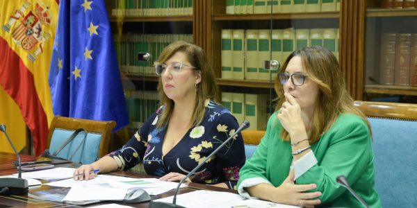 Sandra Rodríguez (izquierda) durante una comparecencia parlamentaria | Foto: Gobierno de Canarias