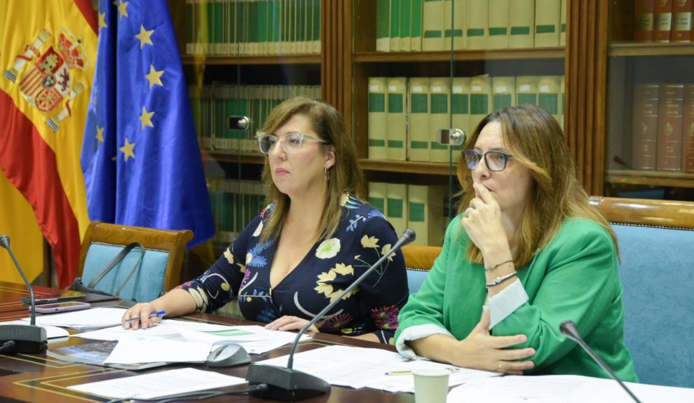 Sandra Rodríguez (izquierda) durante una comparecencia parlamentaria | Foto: Gobierno de Canarias