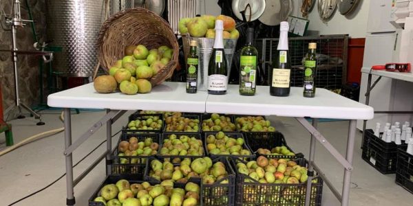 Producción de sidra