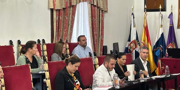 Concejales de CC en el pleno municipal | Foto: Ayuntamiento de La Laguna