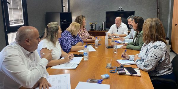 José Fernando Díaz-Flores, con los directores de las Áreas de Salud de las islas | Foto: Gobierno de Canarias