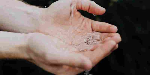 Se han presentado solicitudes de municipios de todas las comunidades autónomas y provincias del territorio español | Foto: Miteco