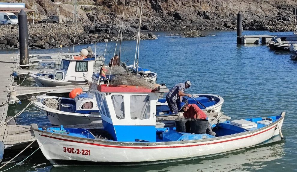 Embarcaciones pesqueras || Foto: GMR Canarias