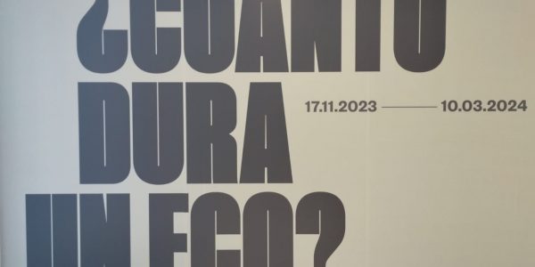 Cartel de la exposición ‘¿Cuánto dura un eco?’ en el TEA