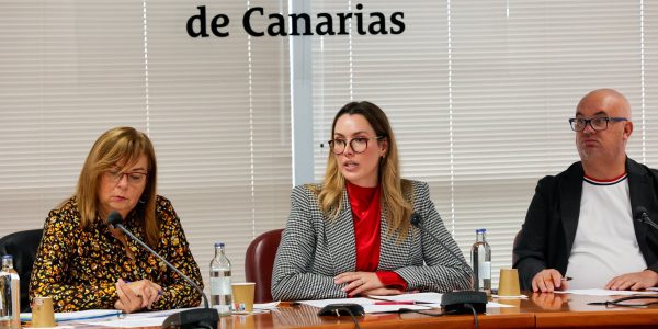 María Fernández (centro) en una reunión de la mesa del transporte | Foto: Gobierno de Canarias