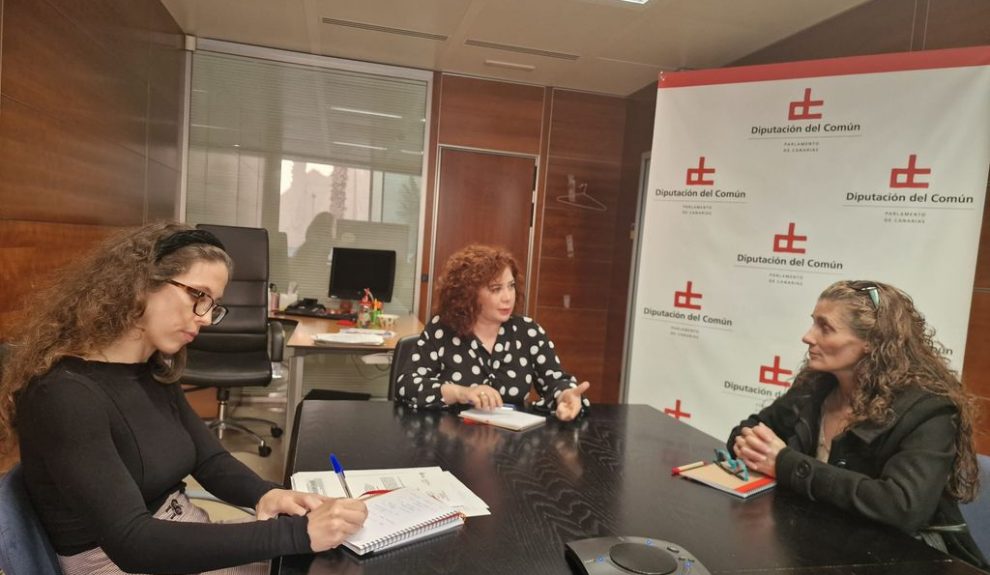 Representantes de Unión Kellys Tenerife reunidas con la adjunta a la Diputada del Común | Foto: Diputado del Común