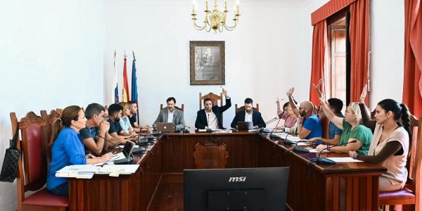 Pleno de Agaete | Foto: Ayuntamiento de Agaete