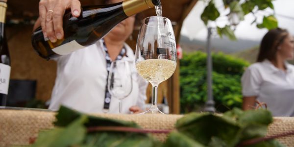 Vinos canarios | Foto: GMR Canarias
