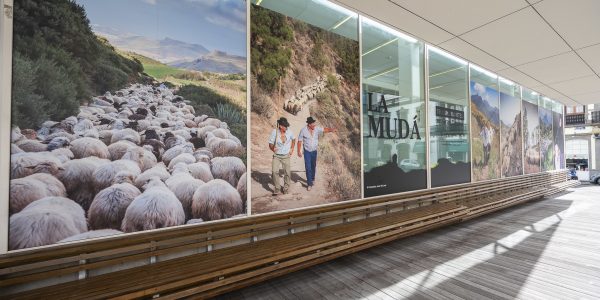 Exposición ¡La Mudá Trashumantes en Gran Canaria' | Foto: Cabildo de Gran Canaria