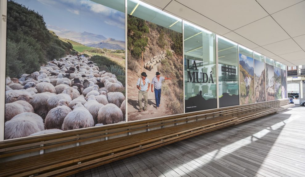 Exposición ¡La Mudá Trashumantes en Gran Canaria' | Foto: Cabildo de Gran Canaria