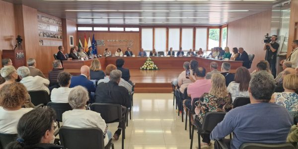 Pleno del Ayuntamiento de Ingenio | Foto: Ayuntamiento de Ingenio